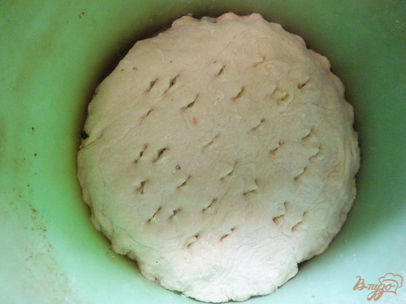 Фото приготовление рецепта: Пирог с яйцом и зеленью шаг №9