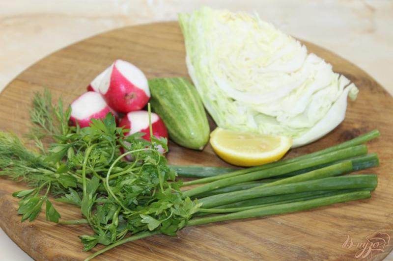 Фото приготовление рецепта: Салат с молодой капусты с огурцом и редисом шаг №1