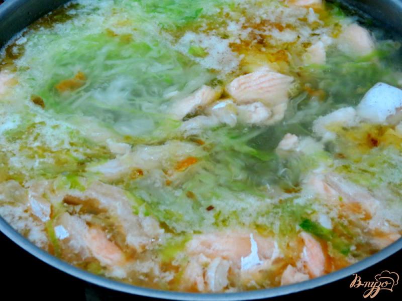 Фото приготовление рецепта: Суп из сёмги, капусты и белого вина шаг №10