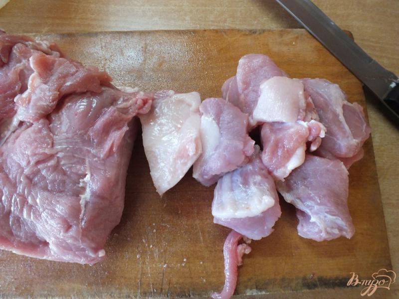 Фото приготовление рецепта: Шашлык свиной в специях и травах на скорую руку шаг №1