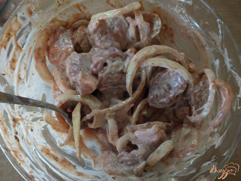 Фото приготовление рецепта: Шашлык свиной в специях и травах на скорую руку шаг №5