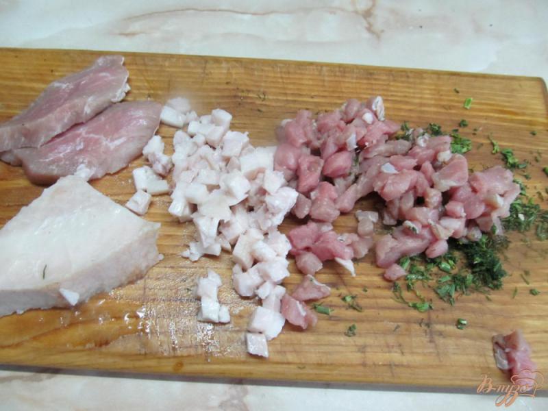 Фото приготовление рецепта: Свиные рубленные котлеты с капустой шаг №1