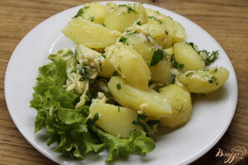 Фото приготовление рецепта: Молодой картофель отварной  с зеленью и твердым сыром шаг №6