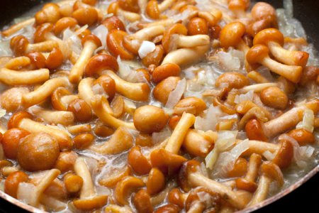 Куриные зразы с ароматными грибами Куриные зразы с ароматными грибами