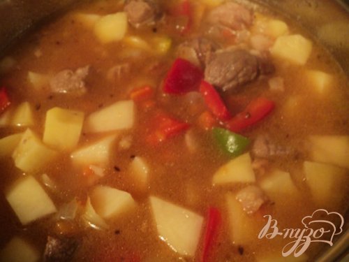 Душенина с овощами и галушками. Душенина с овощами и галушками.