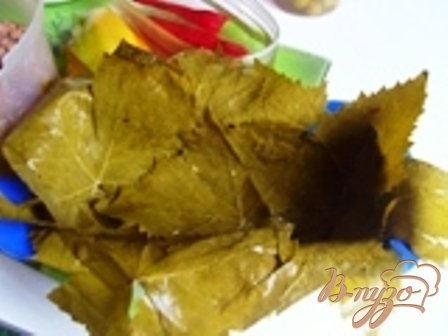 Мясной рулет в виноградный листиях Мясной рулет в виноградный листиях