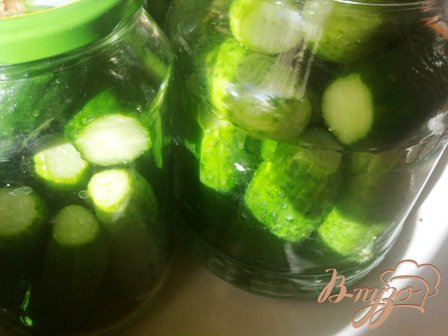 Огурчики маринованные Огурчики маринованные