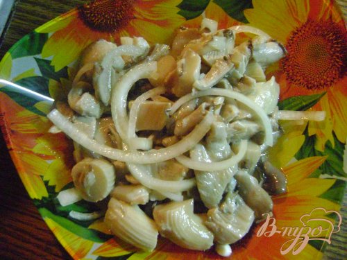 Маринованные вешенки Маринованные вешенки