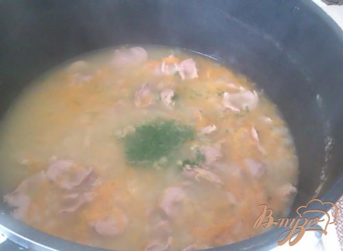 Гуляш из куриных желудочков Гуляш из куриных желудочков