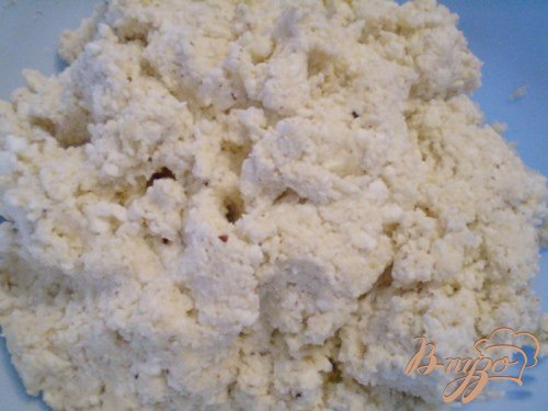 Сырники с грецкими орехами и апельсиновой цедрой Сырники с грецкими орехами и апельсиновой цедрой