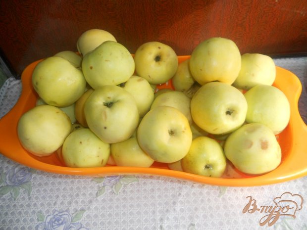 Яблочный сок из соковарки Яблочный сок из соковарки