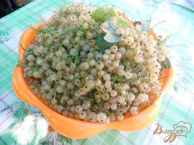 Пюре из из белой и черной смородины Пюре из из белой и черной смородины