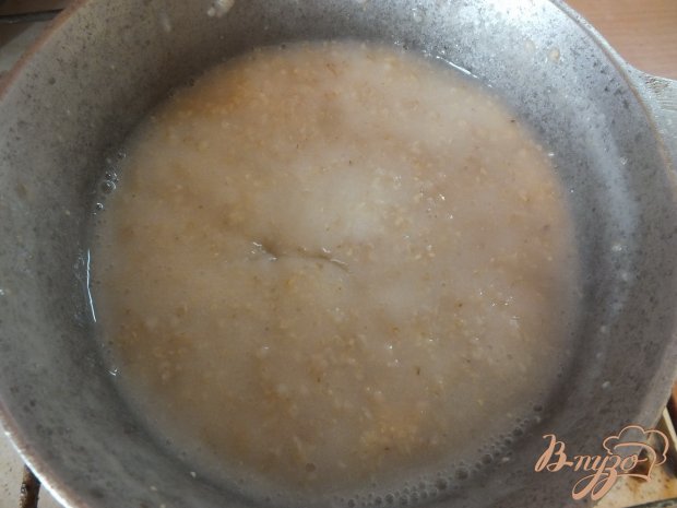 Каша овсяная с твердым сыром и клюквой Каша овсяная с твердым сыром и клюквой