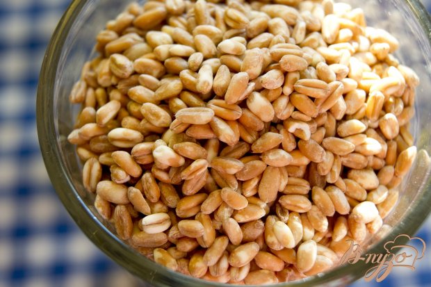 Кутья из пшеницы Кутья из пшеницы