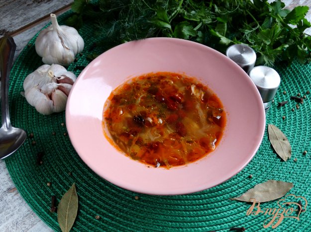 фото рецепта: Щи с курицей и красной фасолью