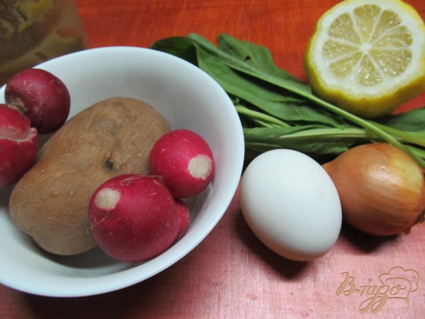 Рецепт Салат из картофеля и редиса