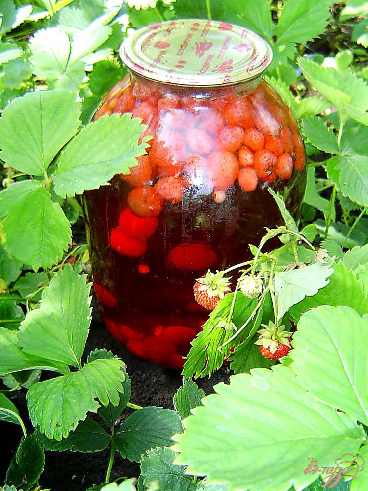 Компот с клубникой, вишней, смородиной на зиму Компот с клубникой, вишней, смородиной на зиму