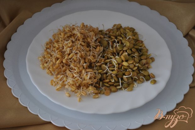 Рецепт Салат с редисом и проростками
