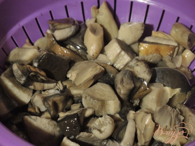 Рецепт Лесные грибы с картофелем