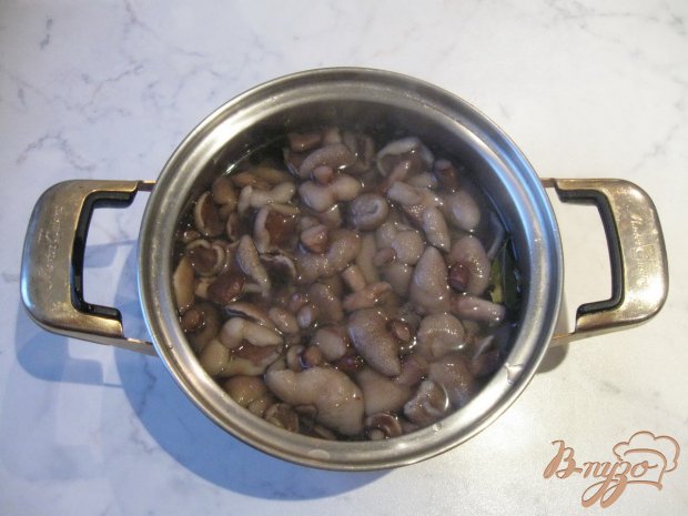 Маслята маринованные Маслята маринованные