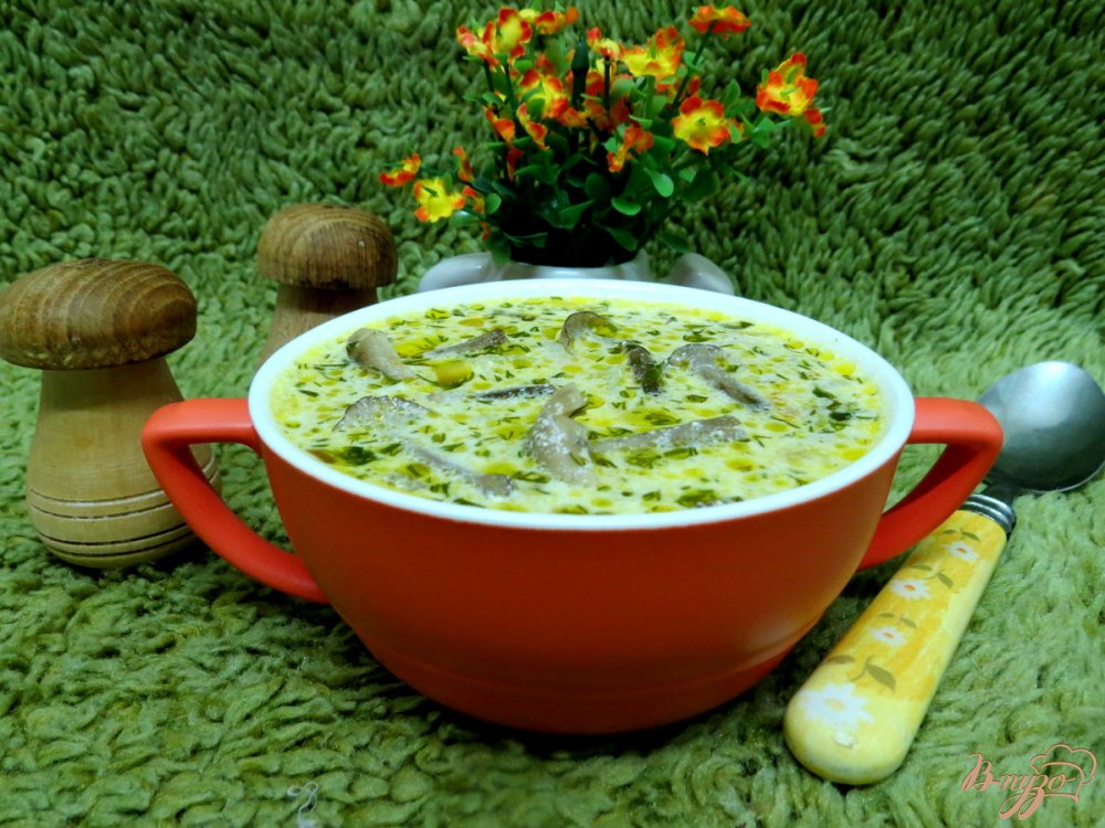 Суп с куриными желудочками, опятами с сырком Суп с куриными желудочками, опятами с сырком