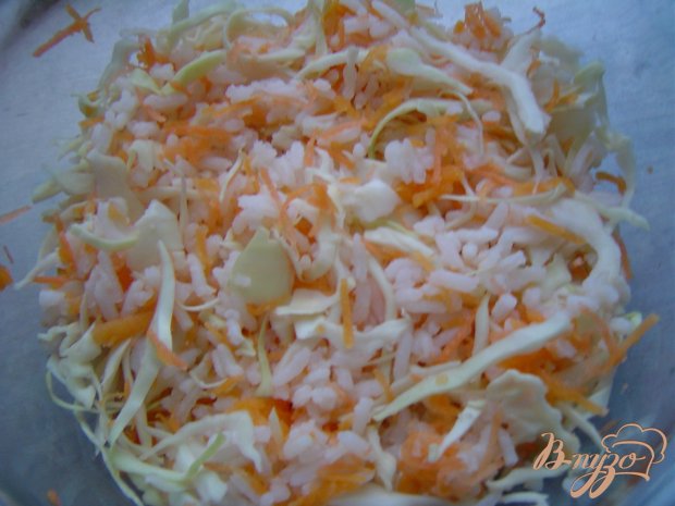 Капустно-рисовая запеканка с морковью, тыквой и помидорами Капустно-рисовая запеканка с морковью, тыквой и помидорами