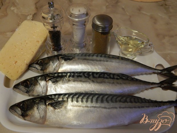 Скумбрия под сыром в духовке Скумбрия под сыром в духовке