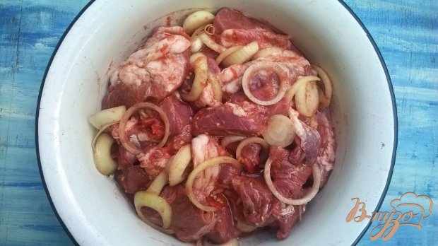 Шашлык в томатном маринаде Шашлык в томатном маринаде