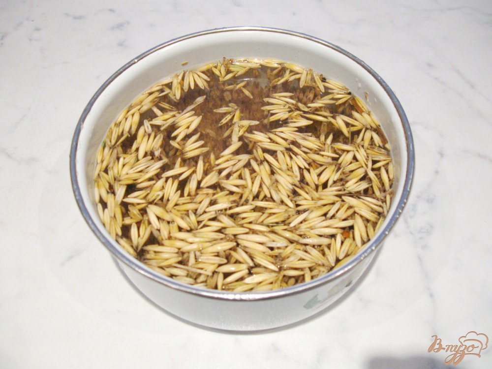 Овсяный квас Овсяный квас