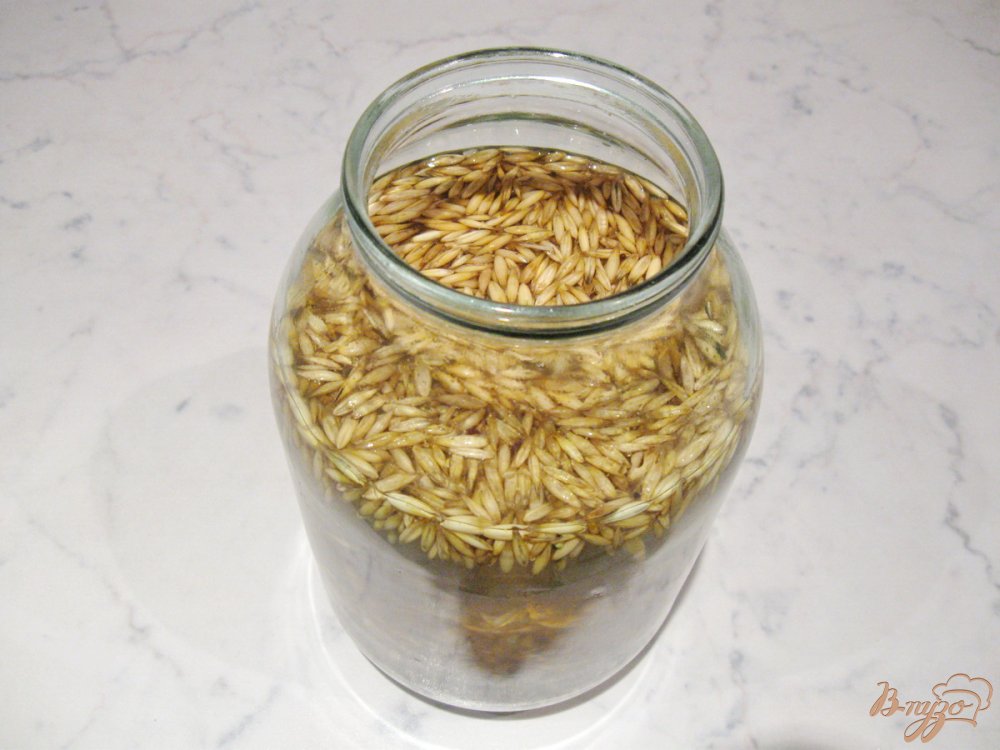 Овсяный квас Овсяный квас