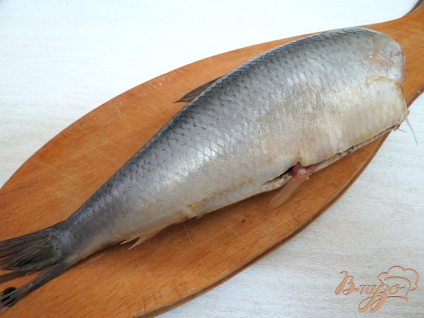 Засолка сельди Засолка сельди