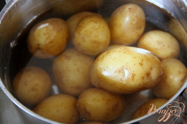 Немецкий картофельный салат с маринованными огурцами Немецкий картофельный салат с маринованными огурцами