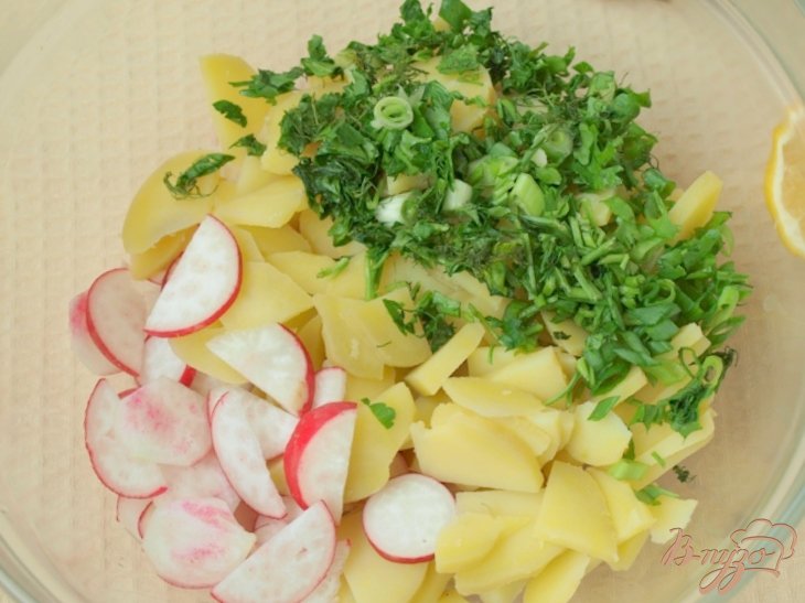 Салат из картофеля и редиса с медово-горчичной заправкой Салат из картофеля и редиса с медово-горчичной заправкой