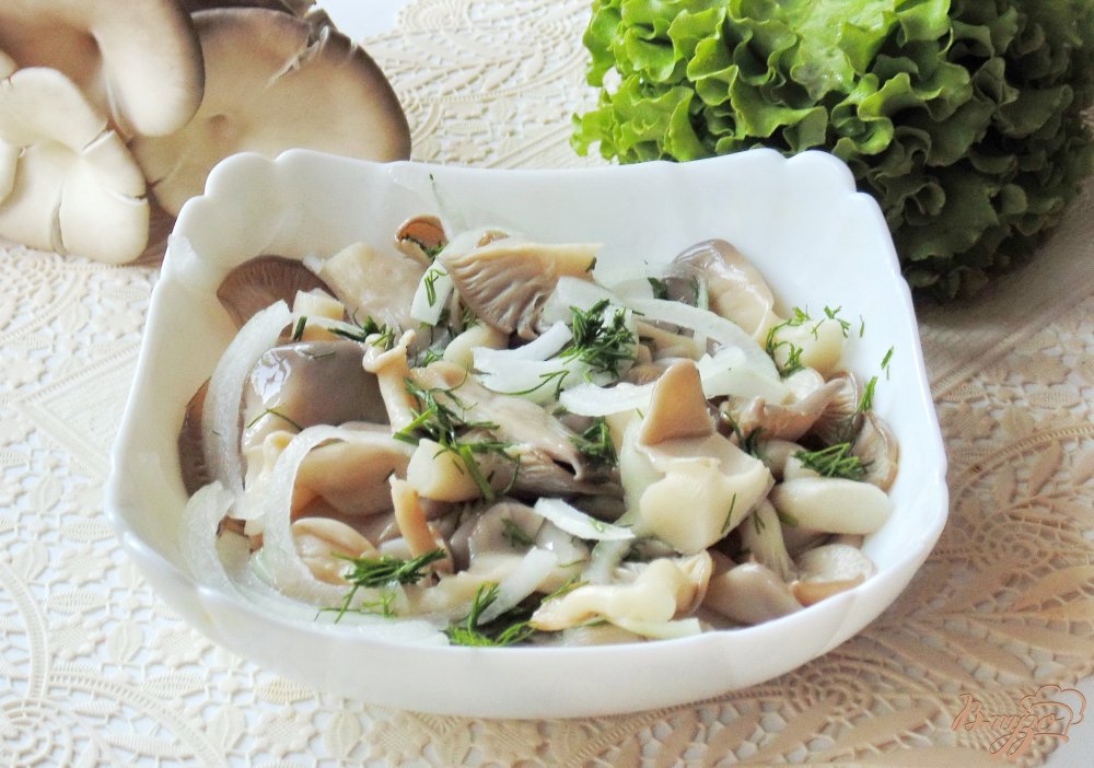 Соленые вёшенки Соленые вёшенки