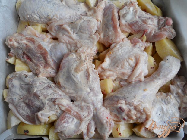 Картофель с курицей в сметане с сыром Картофель с курицей в сметане с сыром