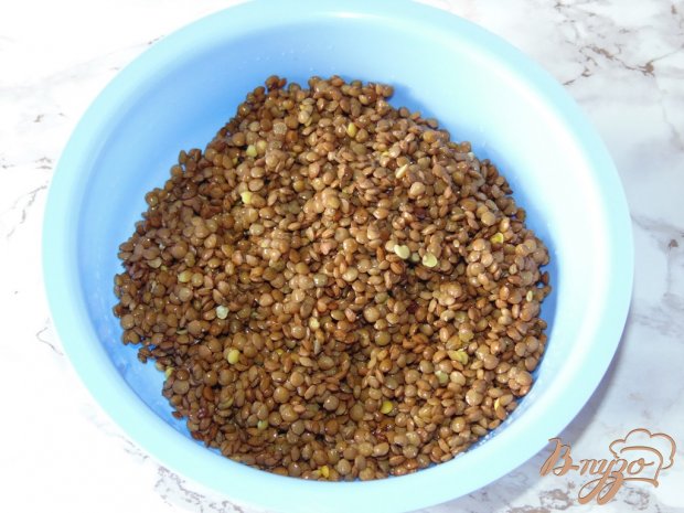Паштет из коричневой чечевицы с грецкими орехами Паштет из коричневой чечевицы с грецкими орехами