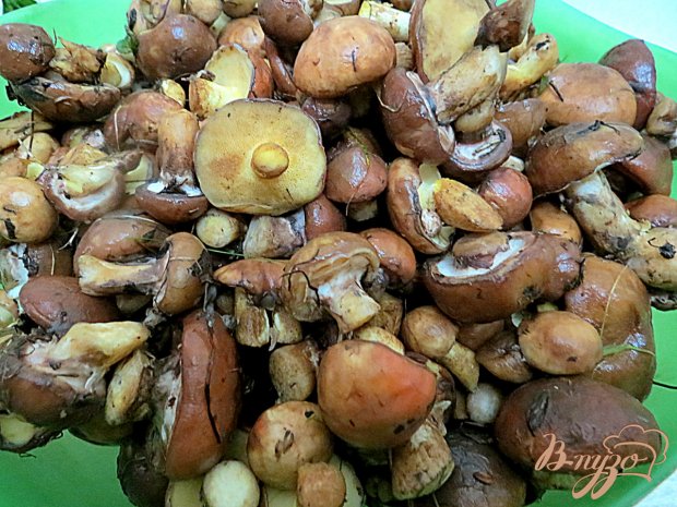 Маслята маринованные Маслята маринованные
