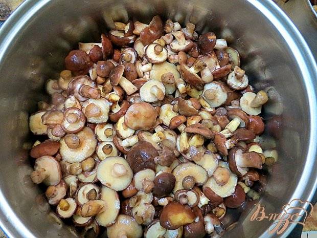 Маслята маринованные Маслята маринованные