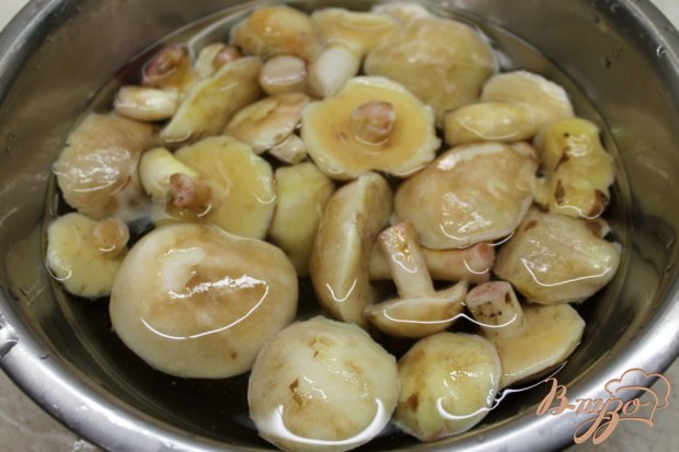 Маслята жаренные с луком и чесноком Маслята жаренные с луком и чесноком