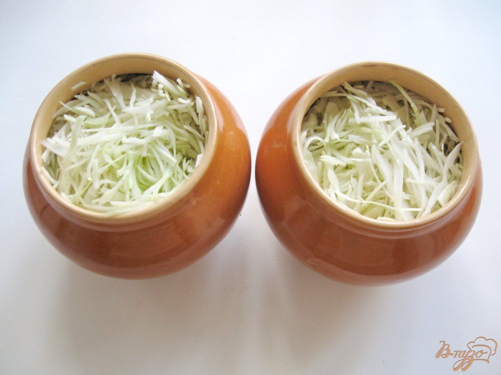 Капуста с курицей в горшочке Капуста с курицей в горшочке