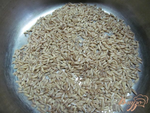 Овсянка с курицей в вишневом соусе Овсянка с курицей в вишневом соусе