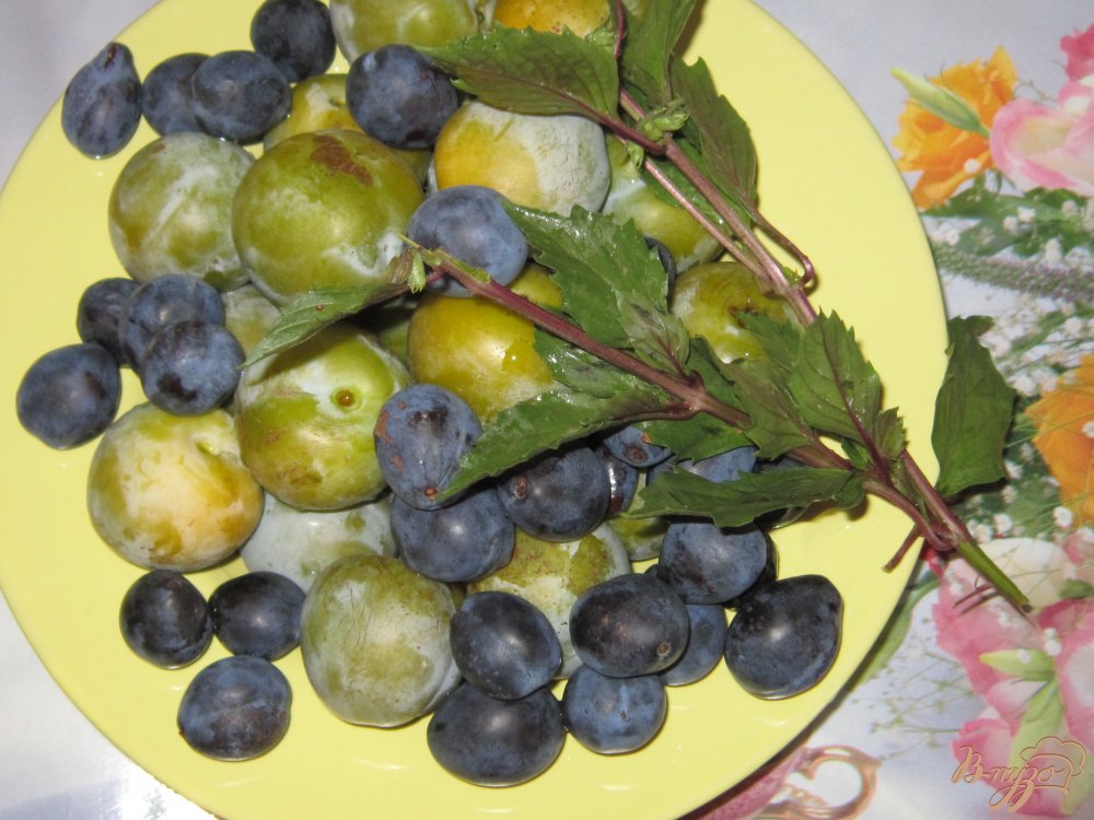 Компот из яблок и слив Компот из яблок и слив