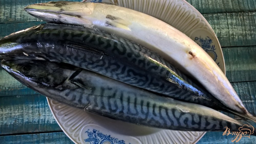 Скумбрия с луком на мангале Скумбрия с луком на мангале
