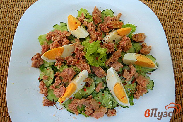 фото рецепта: Салат с тунцом, яйцом и огурцом