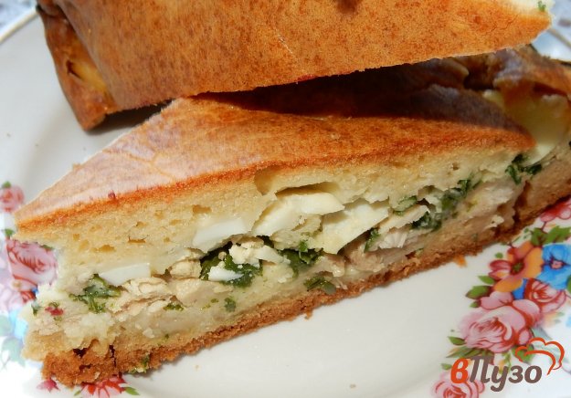 фото рецепта: Заливной пирог с курицей, яйцами и зеленым луком