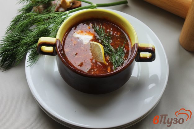 фото рецепта: Солянка сборная мясная