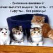 Милена
