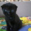 Marianna2882